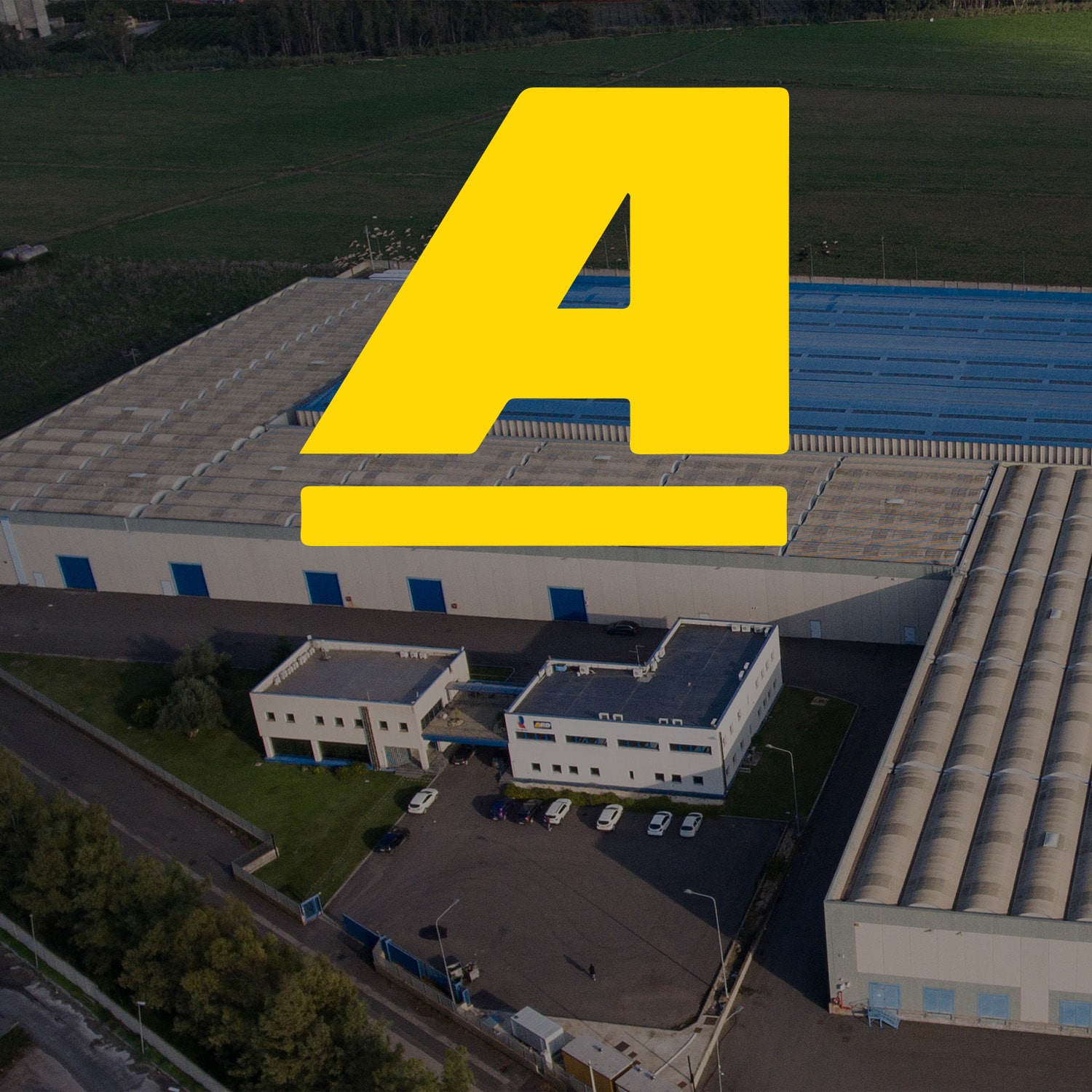 Azienda