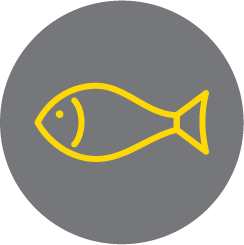 ARD Discount - Pescheria